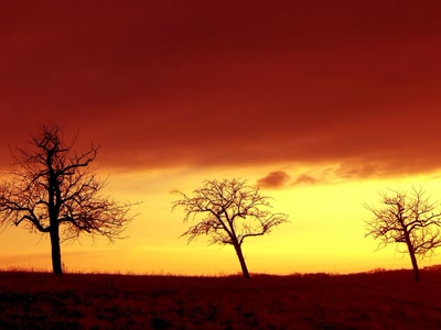 Résultat de recherche: Sentier des cerisiers