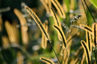 Résultat de recherche: Fin de journée