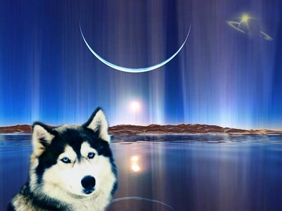 Résultat de recherche: AURORA BOREALIS