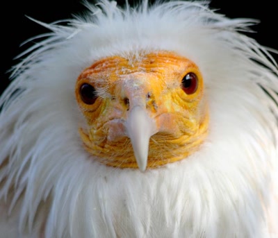 Résultat de recherche: Regardes-moi !