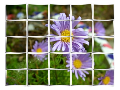 Œuvre de ESS: FLEURS