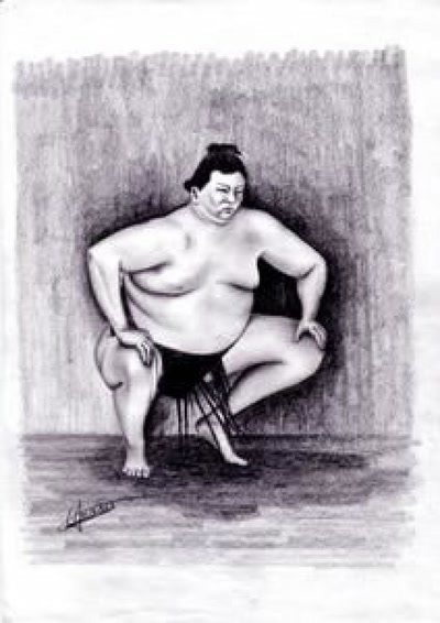 Œuvre de didier71: sumo