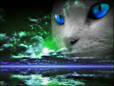 Œuvre de oly67: Chat