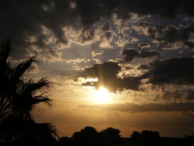 Œuvre de OLiDEL83: Coucher de Soleil