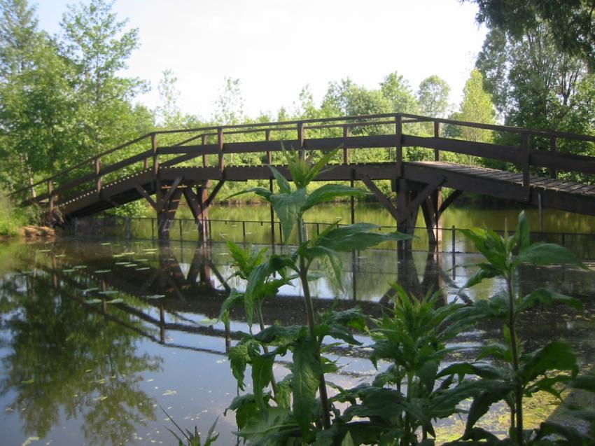 Petit pont en bois