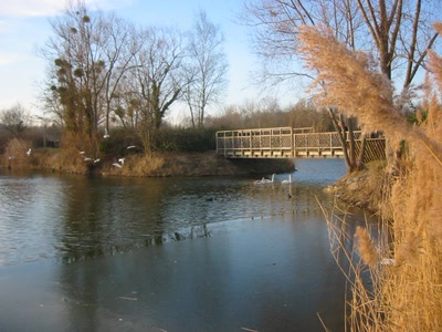 Fin de journée à l'Isle-Adam (95)