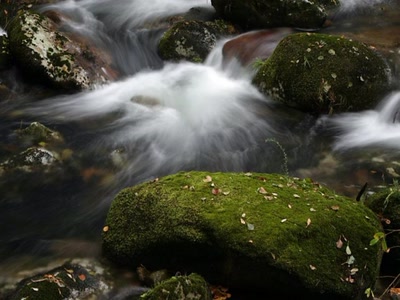 Œuvre de ESS: Fleuves