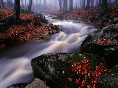 Œuvre de ESS: Rivière