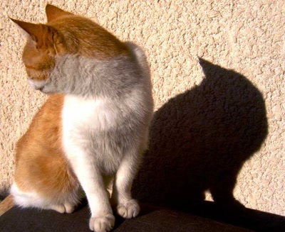 Œuvre de ventoux84: Jeu d'ombre.