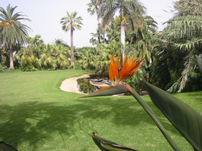 Loro Parque à Ténérife