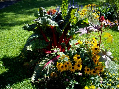 Œuvre de Walkyrie: Massif sauvage