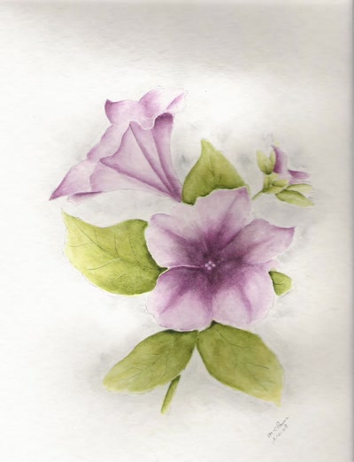 Résultat de recherche: Liseron