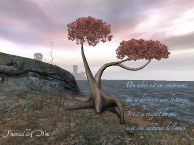 Résultat de recherche: Un Arbre