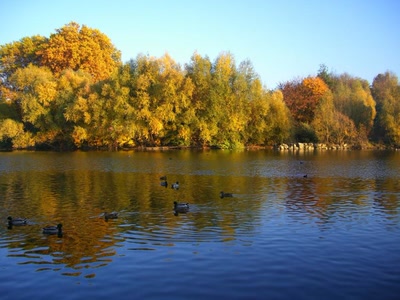 Résultat de recherche: Bords de l'Ill