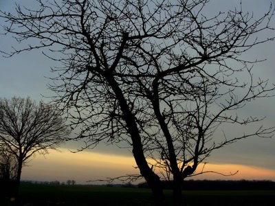 Résultat de recherche: couché de soleil