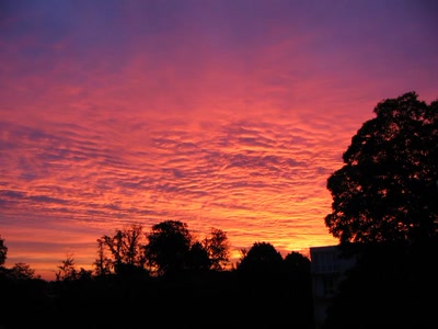 Résultat de recherche: couché de soleil