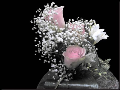 Résultat de recherche: Bouquet de fleurs