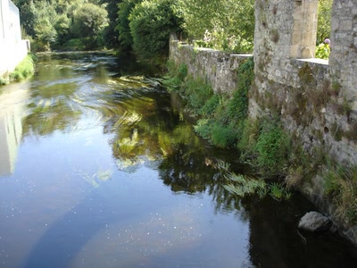 Résultat de recherche: virages dans l'eau