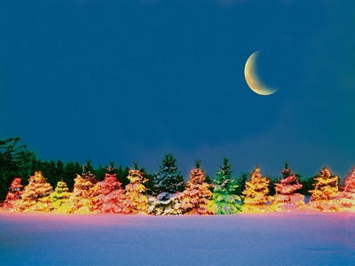 Résultat de recherche: décorations de Noël