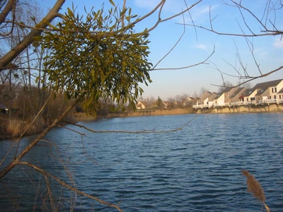 Résultat de recherche: L'Oise à l'Isle-Adam