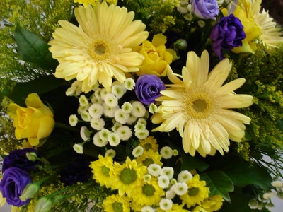 Résultat de recherche: fleurs jaunes et bleues