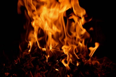 Résultat de recherche: Feu de sarments