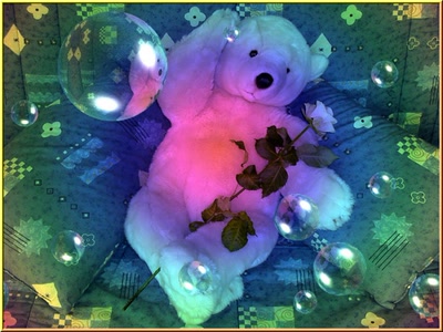 Résultat de recherche: DOUDOU