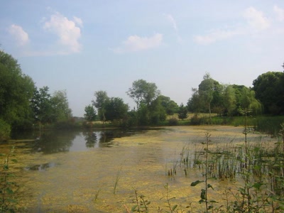 Résultat de recherche: Marécages en pays breton