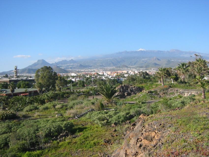 Paysage à Ténérife