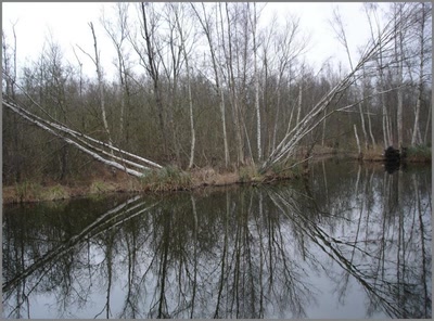 Résultat de recherche: l'automne