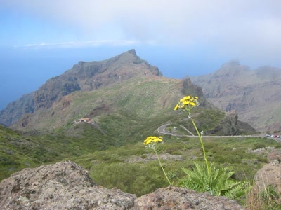 Route de Masca (Tenerife)