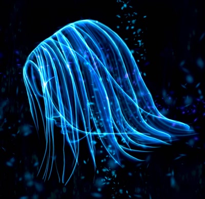 Résultat de recherche: Kimberly Holland