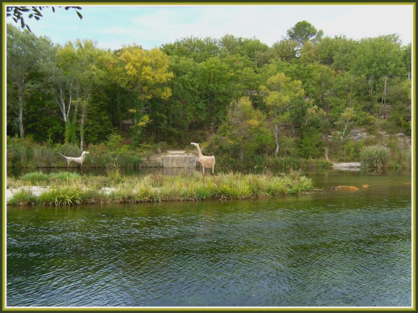 Le Verdon à Gréoux-les-Bains (04)