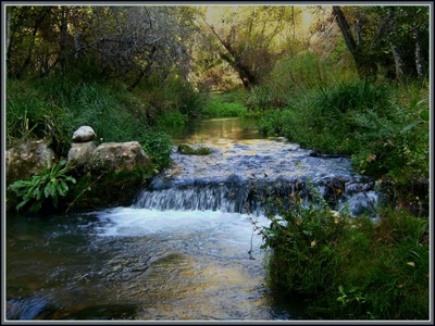 Résultat de recherche: Le Colostre - Affluent du Verdon