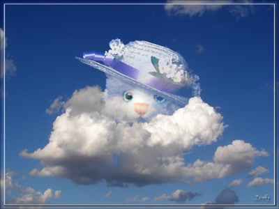 Résultat de recherche: Nuage 24508 2