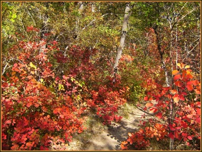 Résultat de recherche: Automne en Provence