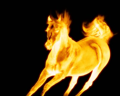 Œuvre de angel18_92: Horse