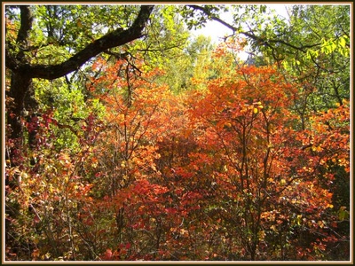 Résultat de recherche: Automne en Provence