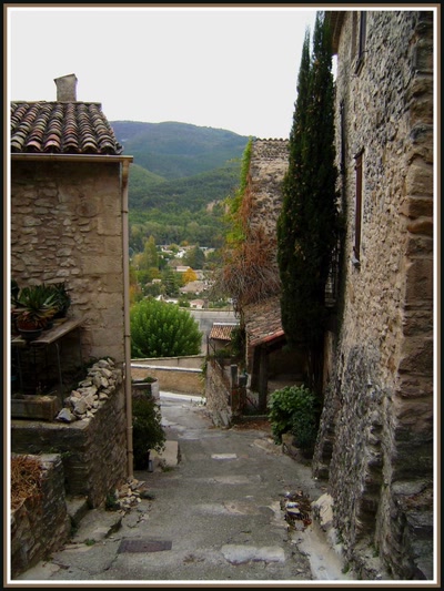 Résultat de recherche: Dauphin (04)