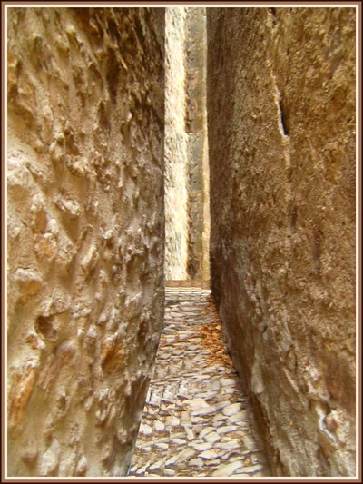 Résultat de recherche: Dauphin (04)