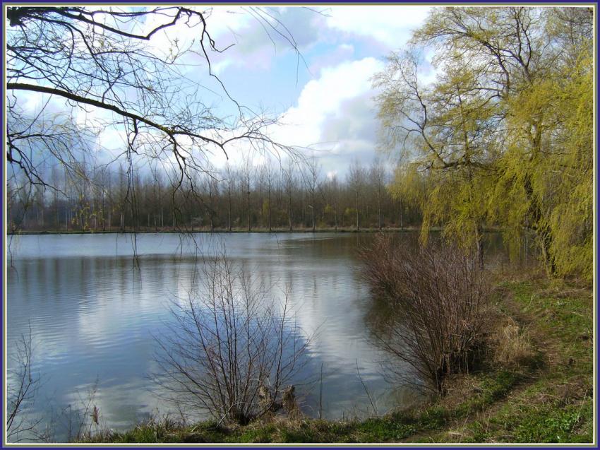 Etang à Séry-les-Mézières (02)