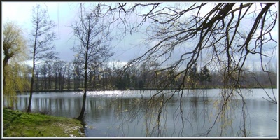 Résultat de recherche: Etang à Séry-les-Mézières (02)