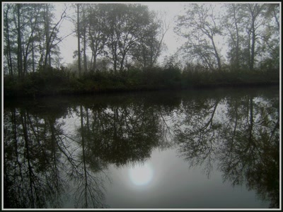 Brumes matinales le long du canal