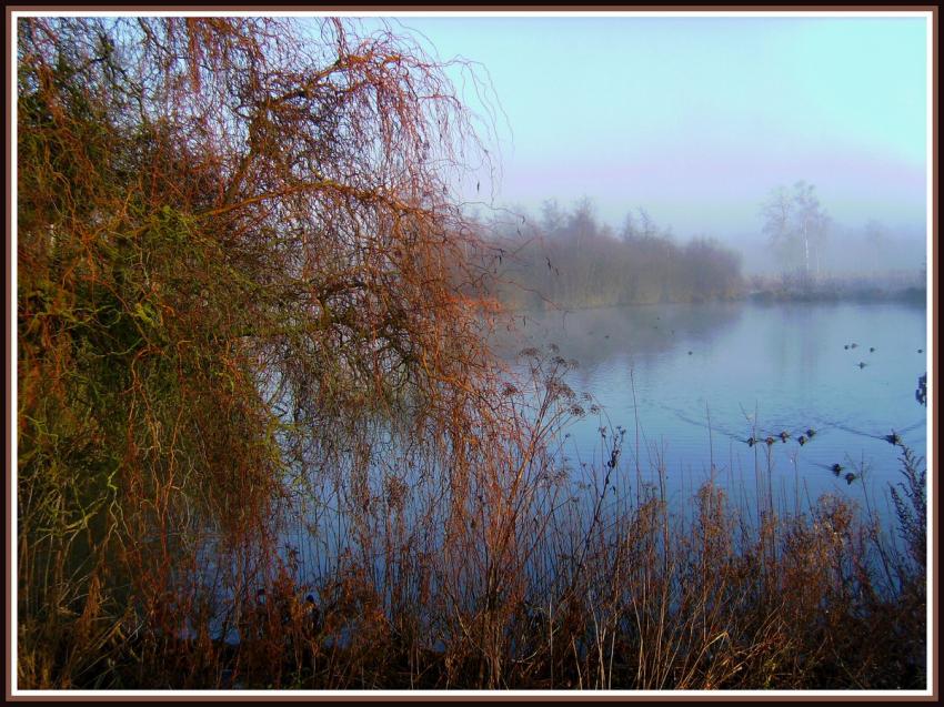 Marais d'Isle à Saint-Quentin (02)