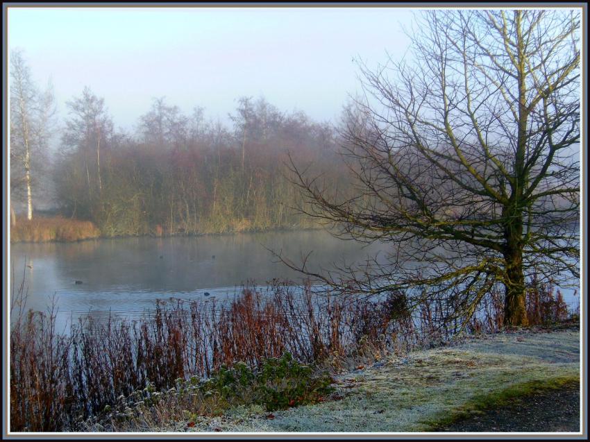 Marais d'Isle à Saint-Quentin (02)