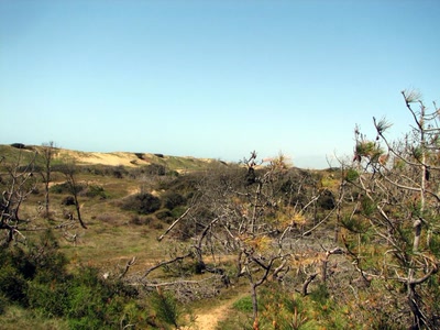 Résultat de recherche: Sauveterre 2