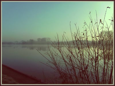Marais d'Isle à Saint-Quentin (02)