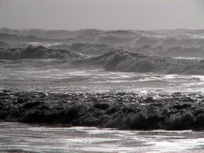 Résultat de recherche: Sauveterre 1