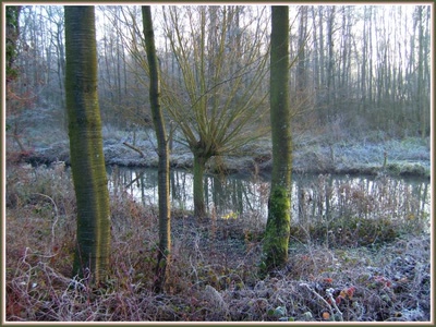 Marais d'Isle à Saint-Quentin (02)