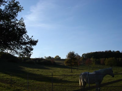 Œuvre de miette: instant de repos en fin d'après midi